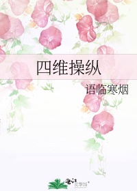 四维彩超操作