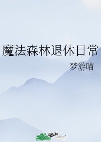 魔法森林游戏攻略