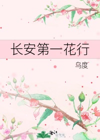 长安第一花行小说