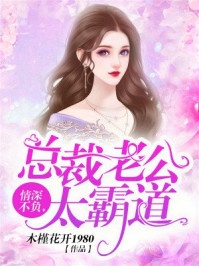 书名:情深不负