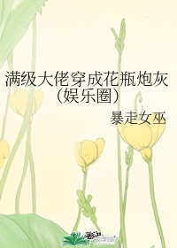 满级大佬穿成花瓶炮灰(娱乐圈)作者:暴走女巫