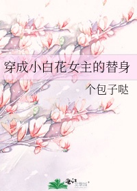 穿成小白花女主的替身 小说