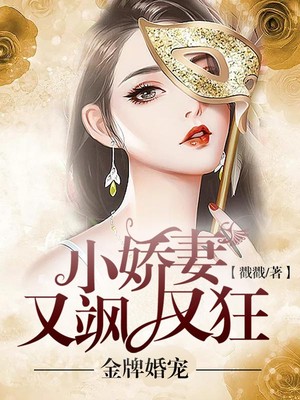 小说金牌甜妻总裁宠婚1314