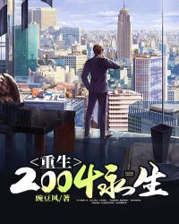 重生从2004开始 小说