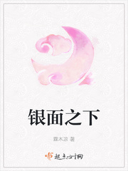 银面将军的小说名字