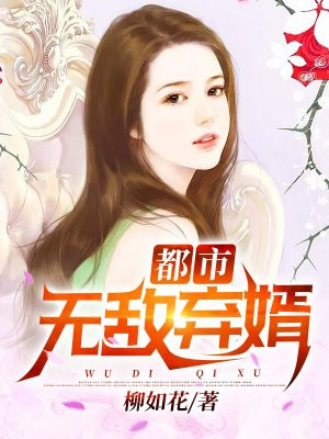 小说都市无敌弃婿