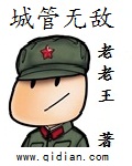 城管无敌作者:老老王