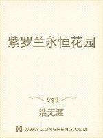 紫罗兰永恒花园中薇尔莉特工作的邮局是