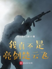 我真不是亮剑头号特种兵阅读