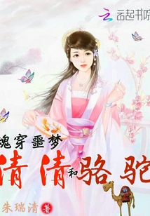 豪门女婿