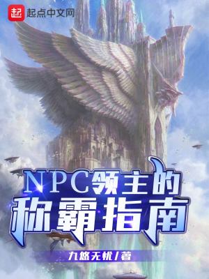 NPC领主的称霸指南 小说