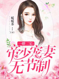 一婚二宝:帝少宠妻无节制 小说