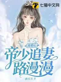 离婚后总裁追妻路漫漫楚天