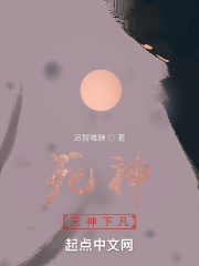 死神:天神下凡小说