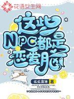 npc里的cp