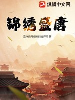 陕西盛唐锦绣