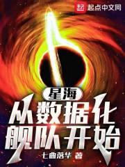 星海从数据化舰队开始无防盗